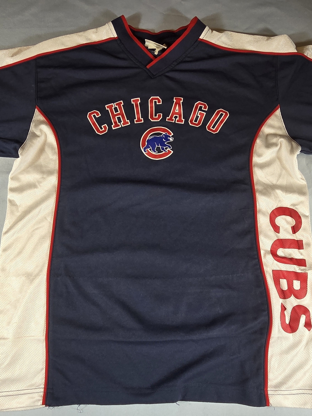 Vintage Chicago Cubs Lee Sport Jersey Shirt Men’s Large Blue White MLB Y2K